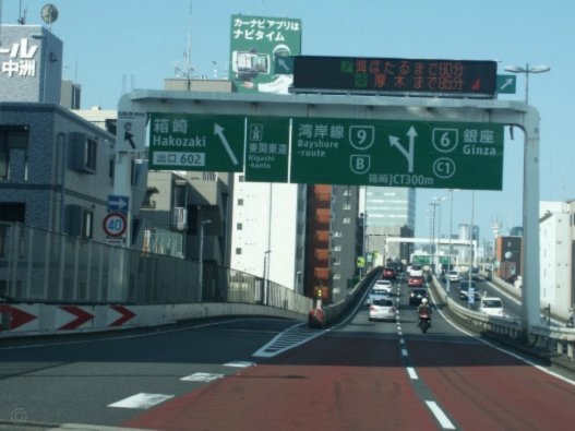 中青赛U17全国六大区共181只队伍大区完赛