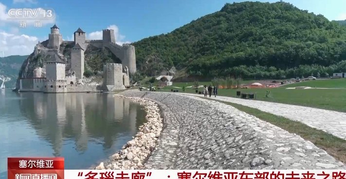 图费格季奇救海牛
