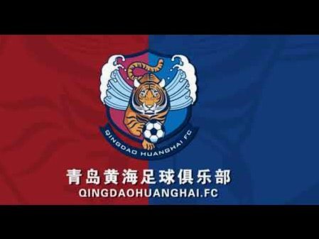 青岛海牛官方：塞尔维亚国脚图费格季奇加盟球队