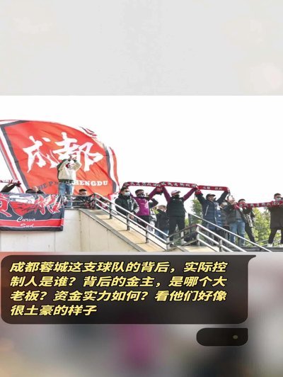 蓉城b这些真的是职业吗。。