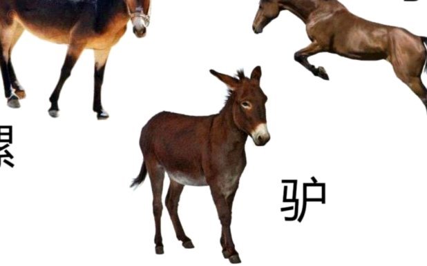 马卡：比赛结束后梅西迅速离场，未与对手交换球衣