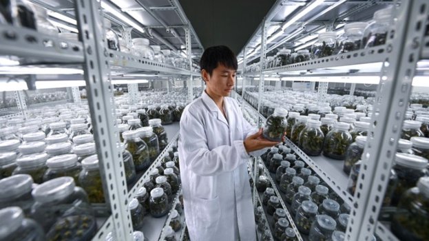 曼城夺冠靠球员，管理层别添乱